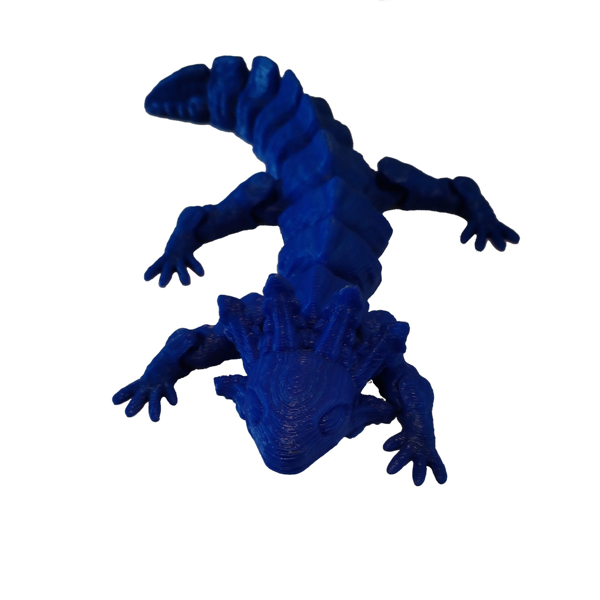 Axolotl articulé